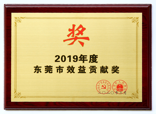三正雁田房地產(chǎn)公司被評為“2019年度東莞市效益貢獻(xiàn)企業(yè)”.jpg